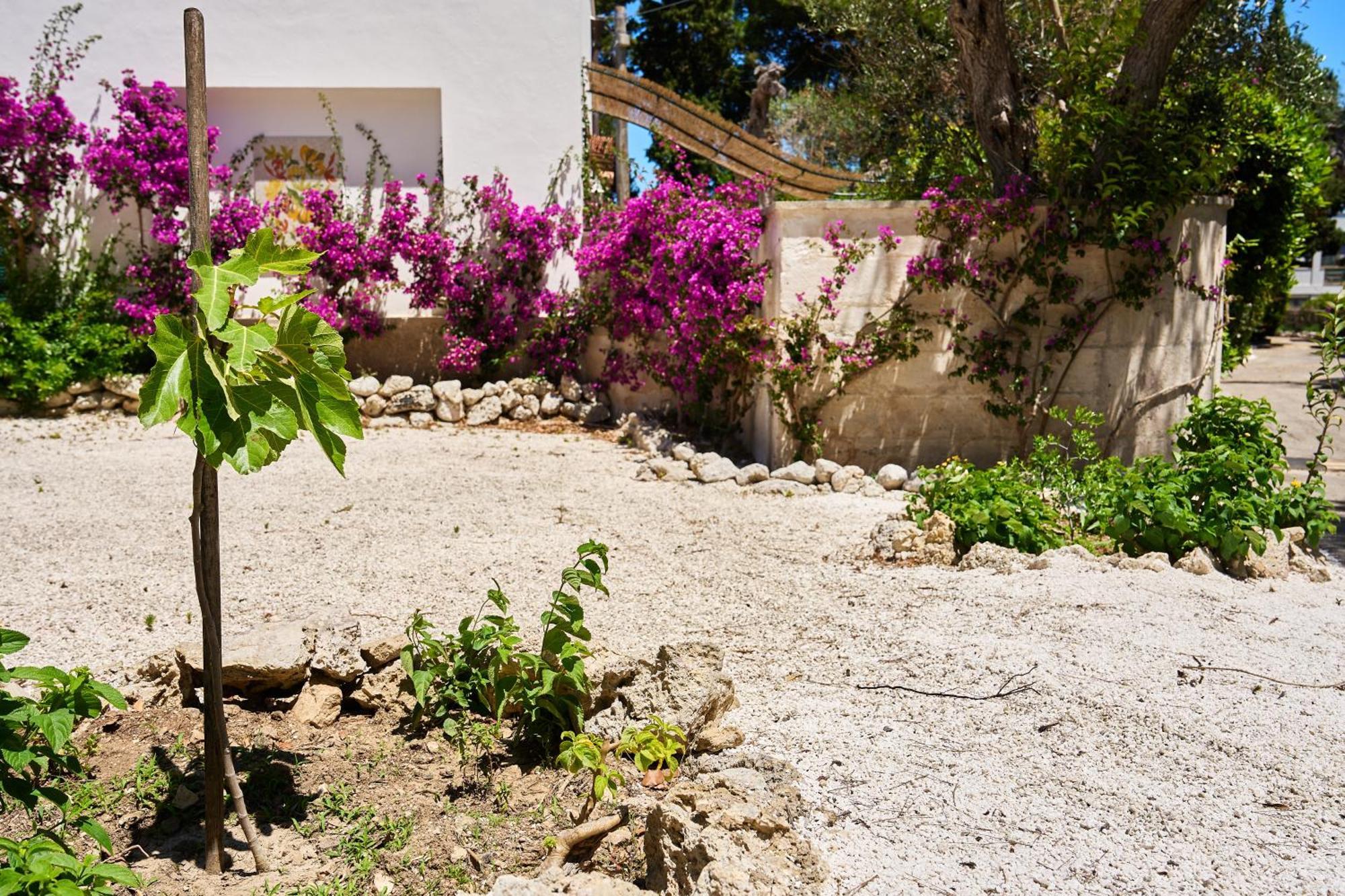 Tenuta Belvedere Otranto Exterior photo