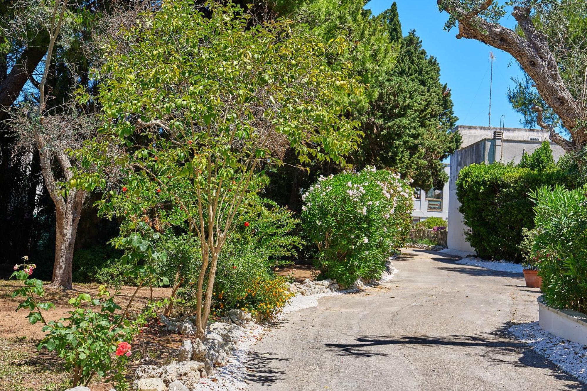Tenuta Belvedere Otranto Exterior photo
